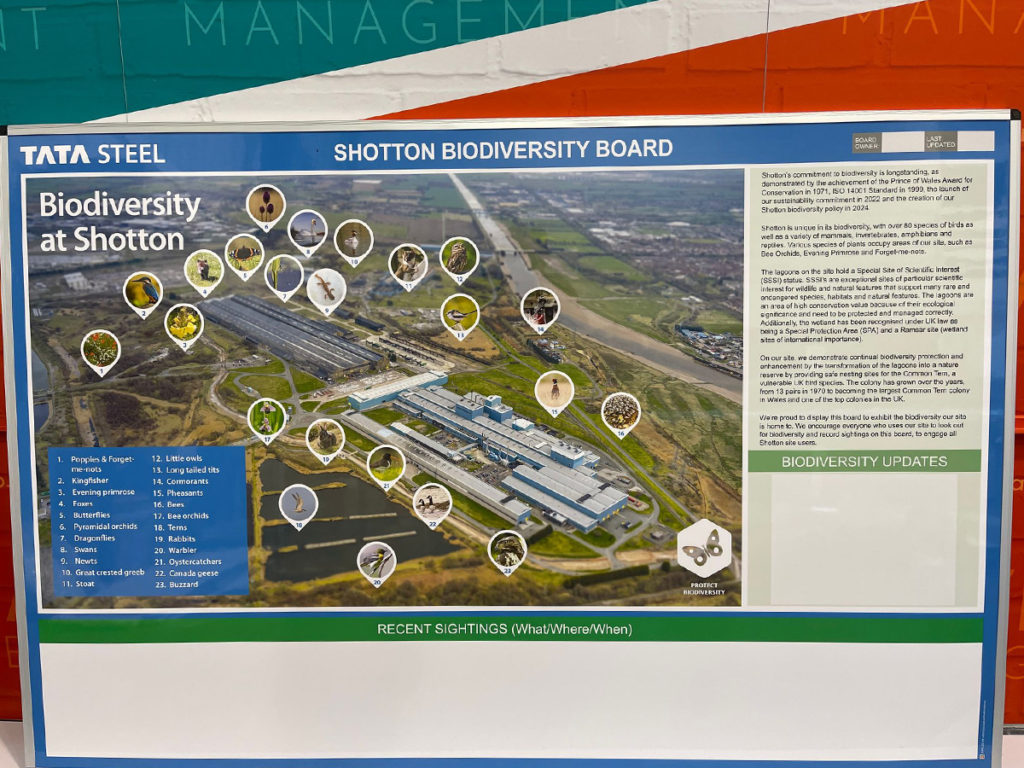 Sustainability board